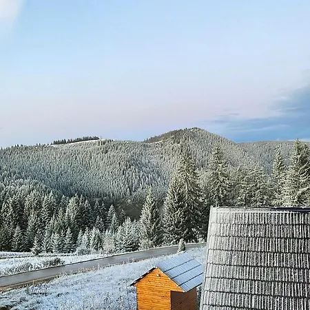 Mountain View *