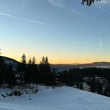 Apartman Mountain View Vlasic