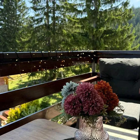 Mountain View Apartment *