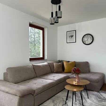 Mountain View Daire Vlasic