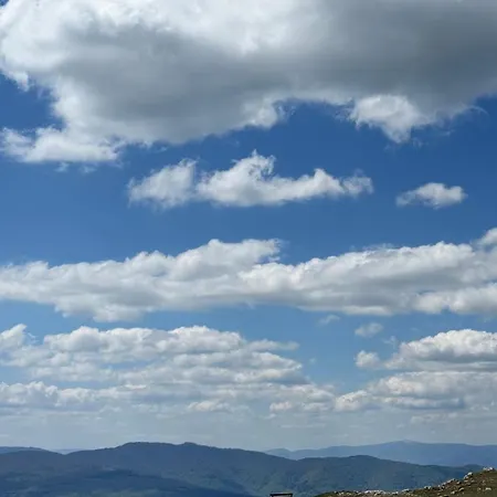 Mountain View 블라시츠